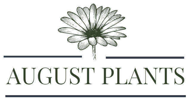 August Plants Shop