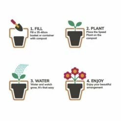 Pansy Cool Wave® Mixed Speed Planter for Hanging baskets -August Plants Shop PL6216 add image 1 dadc